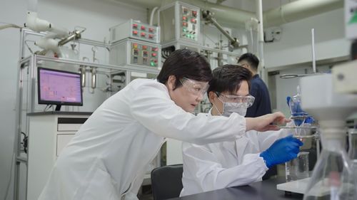 华东理工赵玲荣获上海市巾帼创新领军人物称号，引领网络技术咨询新篇章