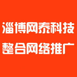 淄博网泰科技 以高清大图与上海网络技术咨询赋能，实现企业网站高效上线